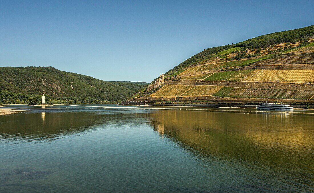 Blick vom Rhein-Nahe-Eck über den Rhein zum Mäuseturm, zur Burgruine Ehrenfels am Niederwald, bei Bingen, Oberes Mittelrheintal, Hessen und Rheinland-Pfalz, Deutschland