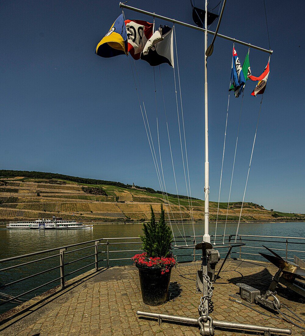 Paddle wheel ship &quot;Goethe&quot; approaching Bingen, in the foreground the flagpole on the former landing stage &quot;Holländerbock&quot;, in the background the Niederwald with the Niederwald monument, Bingen and Rüdesheim, Upper Middle Rhine Valley, Hesse/Rhineland-Palatinate, Germany