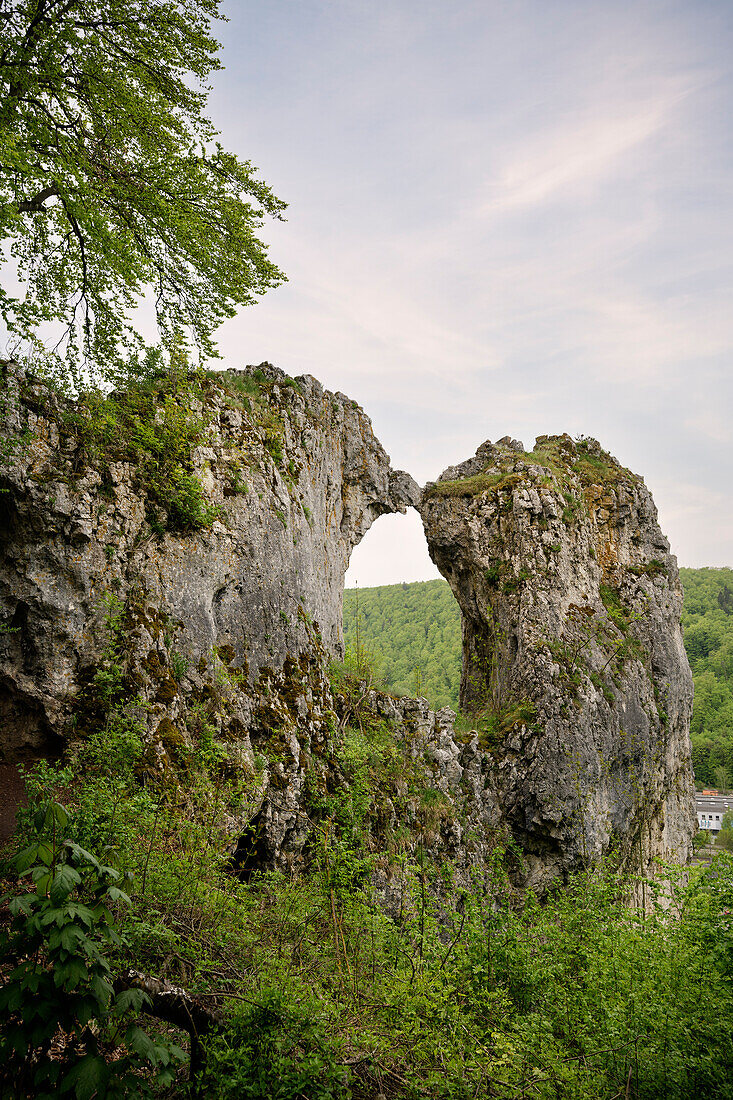 Felsformation "Küssende Sau", Blaubeuren, Alb-Donau-Kreis, Schwäbische Alb, Baden-Württemberg, Deutschland, Europa