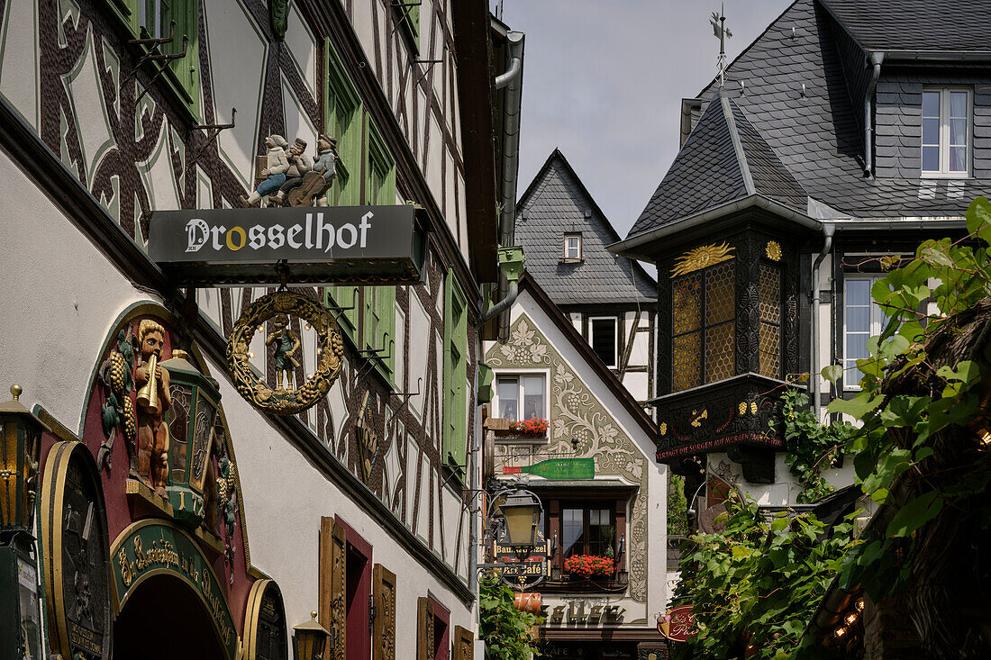 Historische Häuser und Gasthof 'Drosselhof' in der Drosselgasse, Rüdesheim am Rhein, Rheingau-Taunus-Kreis, Hessen, Deutschland, Europa