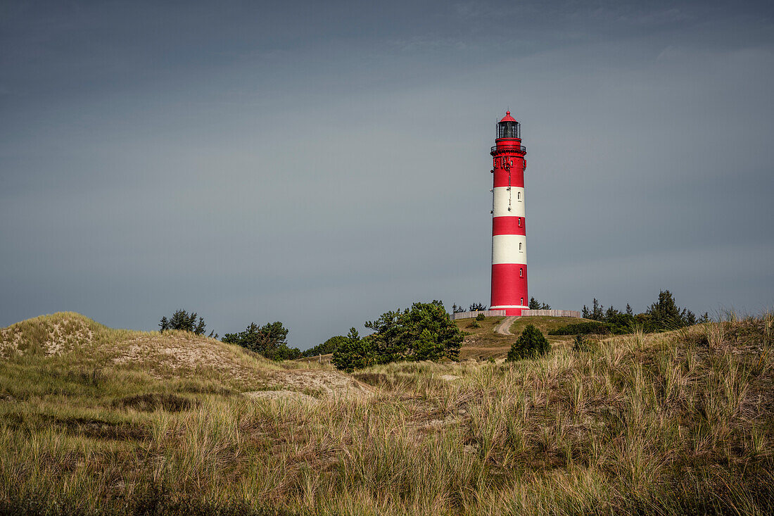 Leuchtturm Amrum, Nordfriesland, Schleswig-Holstein, Deutschland, Europa