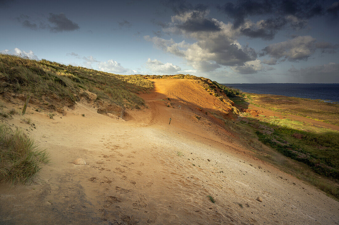 The Morsum Cliff in the morning light, Morsum, Sylt, North Friesland, Schleswig-Holstein, Germany, Europe