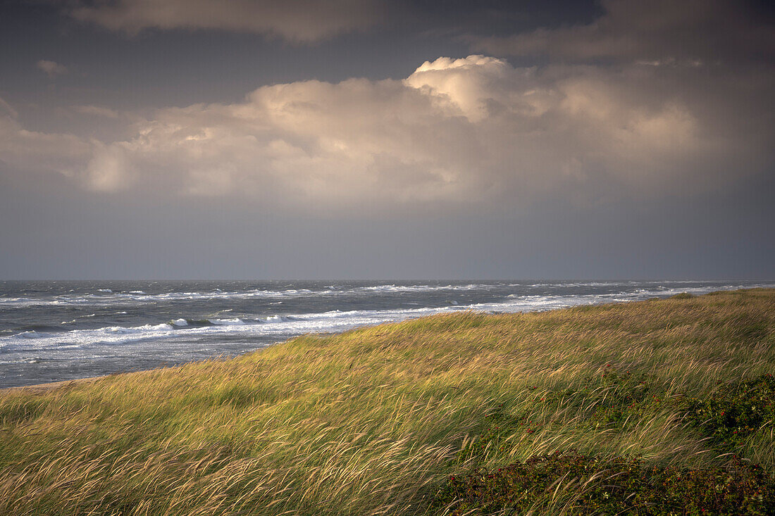 Rantum beach in the evening light, Sylt, North Friesland, Schleswig-Holstein, Germany, Europe