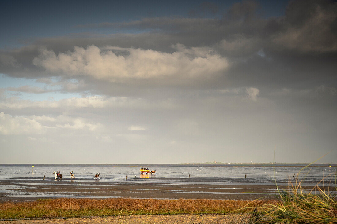 Wattwagen ride to the island of Neuwerk, Cuxhaven, Lower Saxony, Germany, Europe