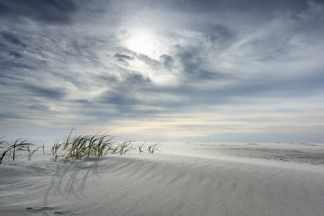 Sandy beach "Kniepsand" in Amrum, North Friesland, Schleswig-Holstein, Germany, Europe