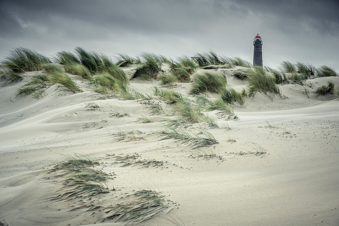Dune landscape with lighthouse, Borkum, East Frisian Islands, Lower Saxony, Germany, Europe
