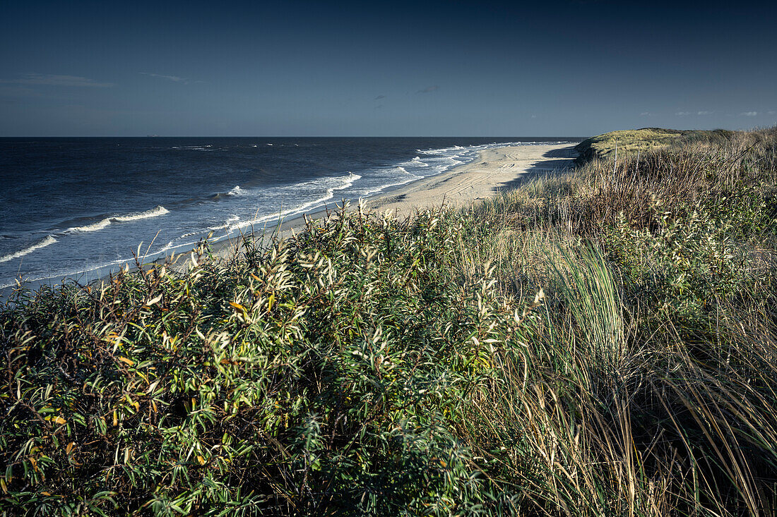 Strand von Baltrum, Ostfriesische Inseln, Niedersachsen, Deutschland, Europa