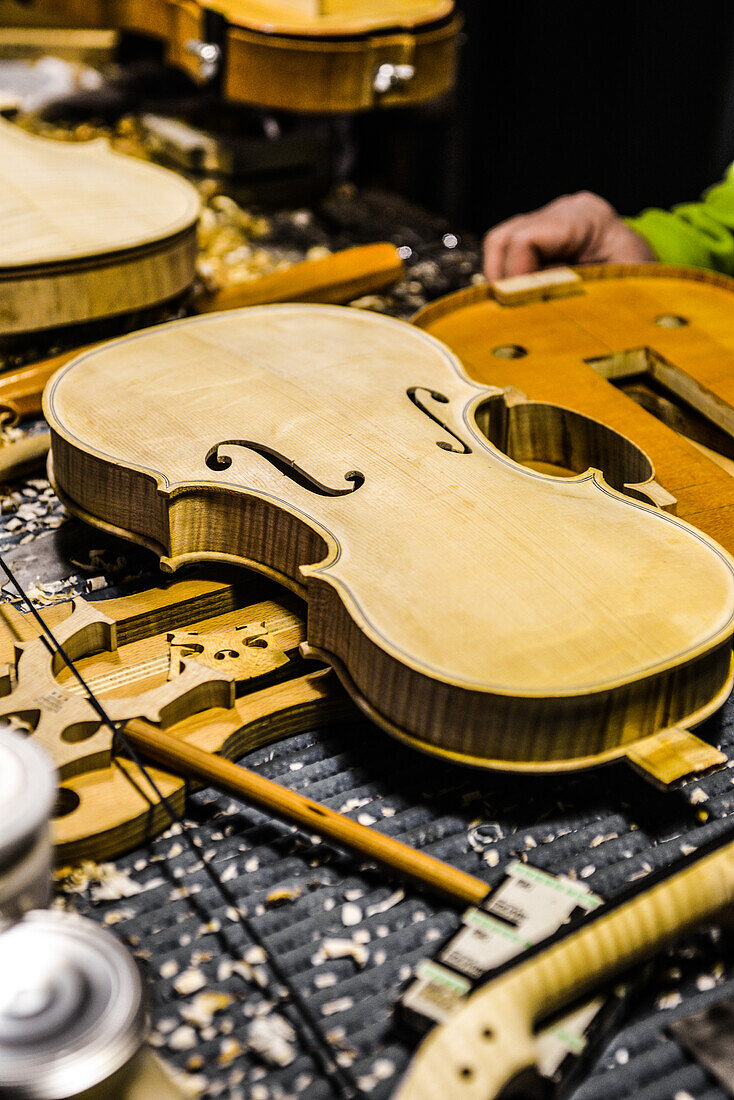 Lutist Philippe Devanneaux at work in his shop, Cremona, Italy