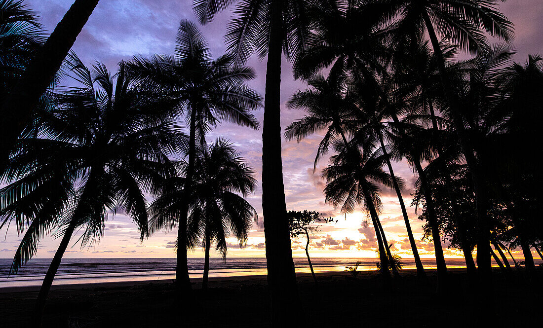 „Nach Sonnenuntergang“, Palmen, bunter Himmel, Playa Linda, Costa Rica