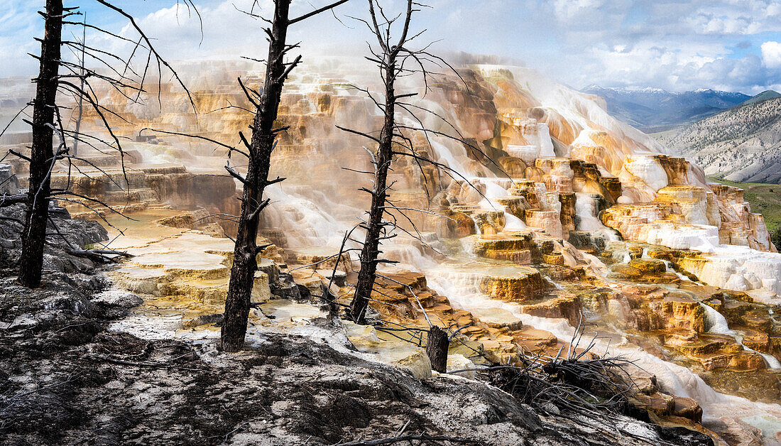 „Apokaliptisch schön“, Mammoth Hot Springs, Yellowstone-Nationalpark, Wyoming, USA