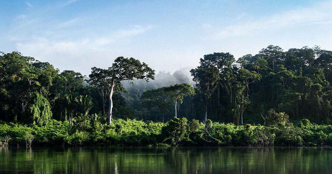 Panoramic 'River Looks', Jungle, Rio Usumacinta, Frontera Corozal, Mexico/Guatemala