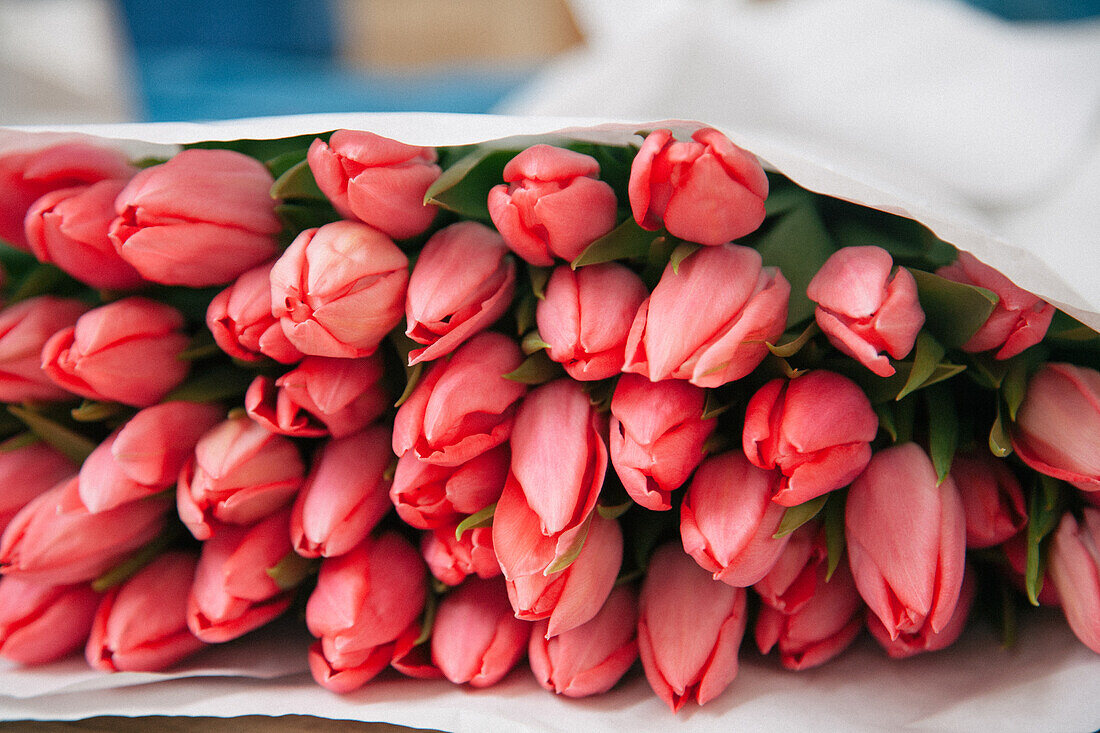 Noordwijk, Niederlande, ein Strauß in Papier gewickelter Tulpen zum Verkauf
