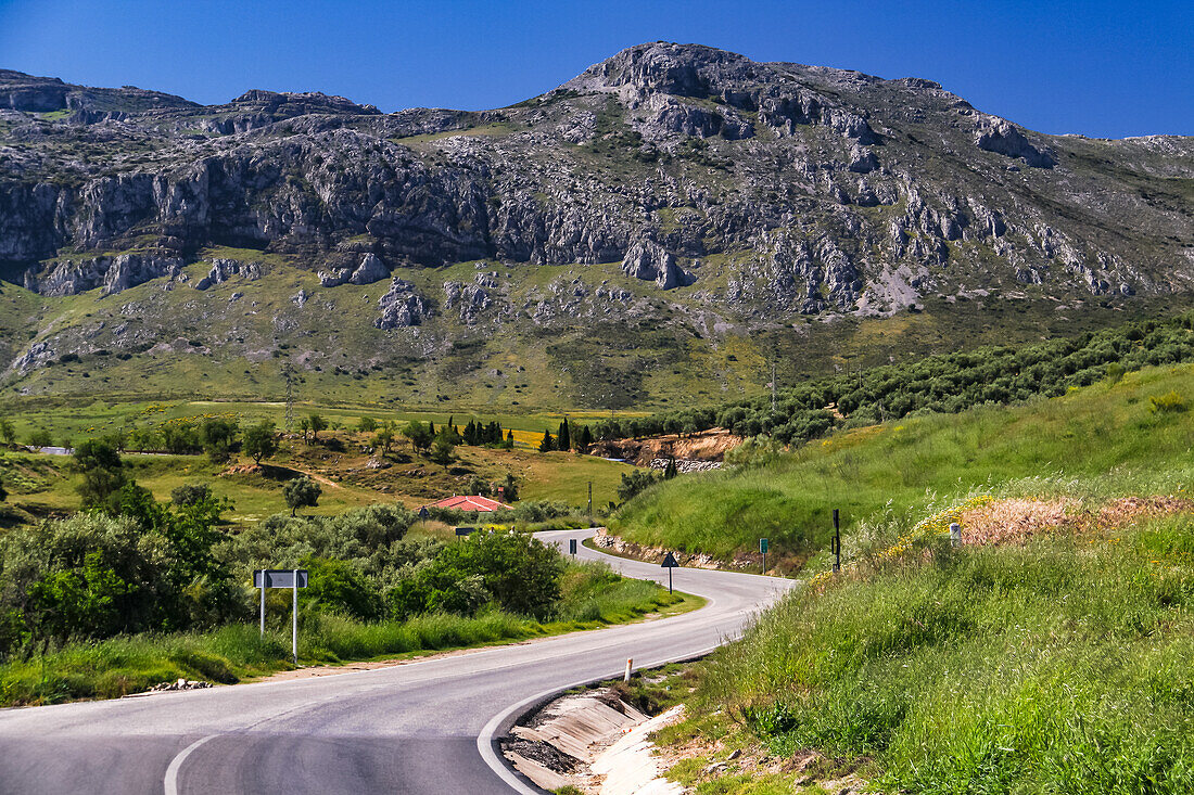 Idyllische Berg-Landschaft mit Straße in der Provinz Malaga in Andalusien, Spanien