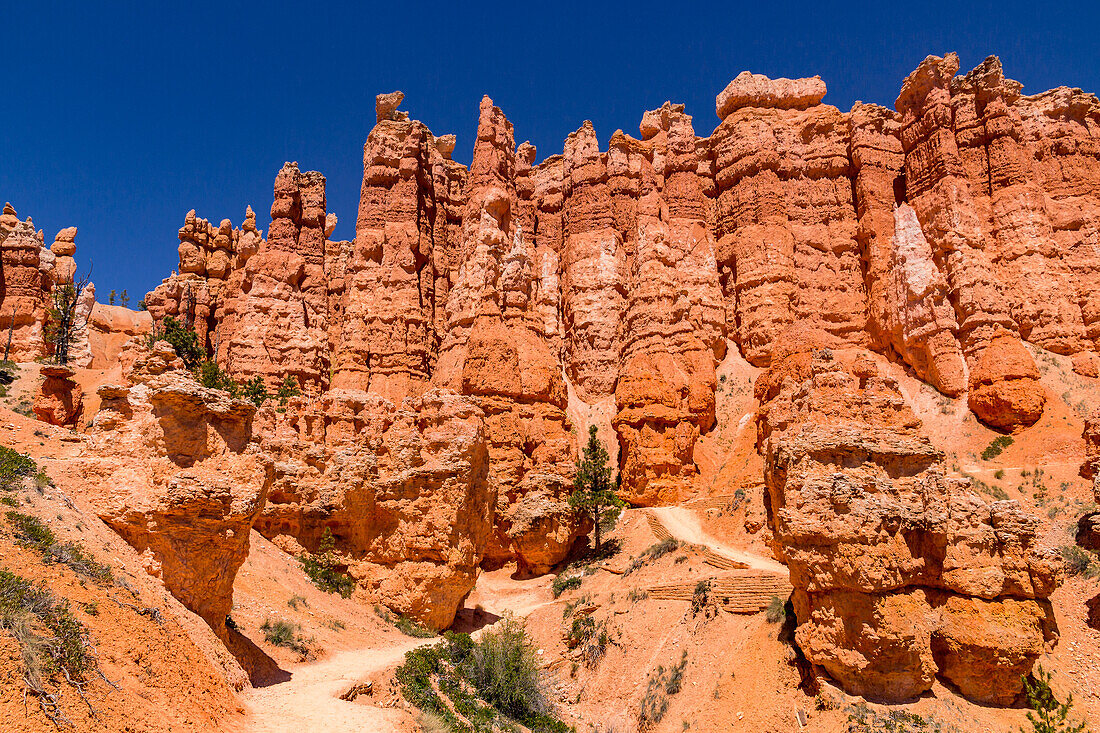 Stunning hiking trail in Queens Garden in Bryce Canyon with the well-known hoodoos, Utah, United States