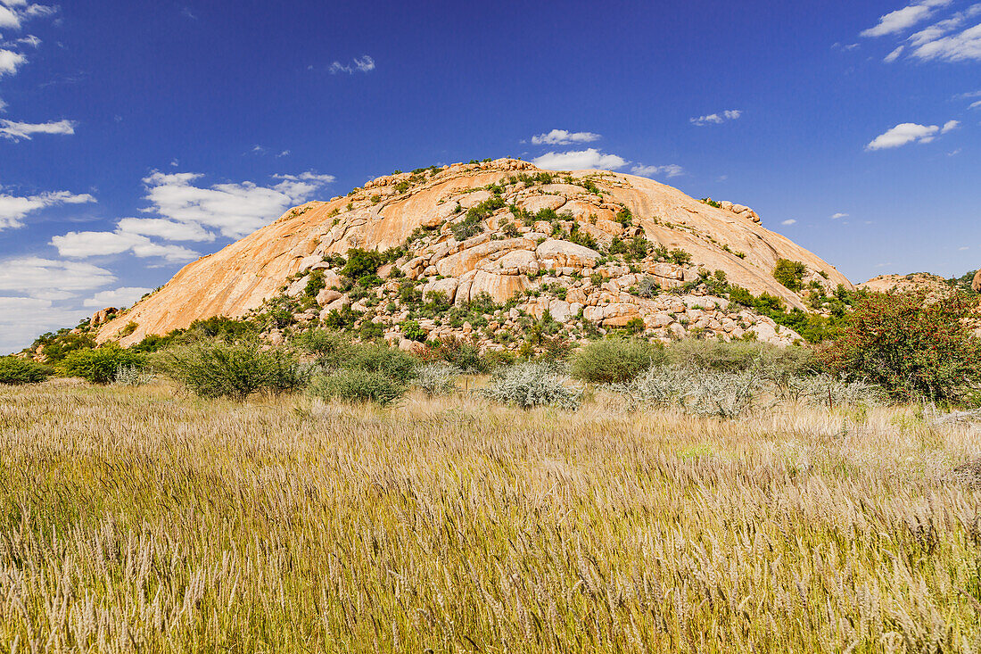 A meadow with bushland in front of a prominent inselberg in the Erongo Mountains, Namibia, Africa