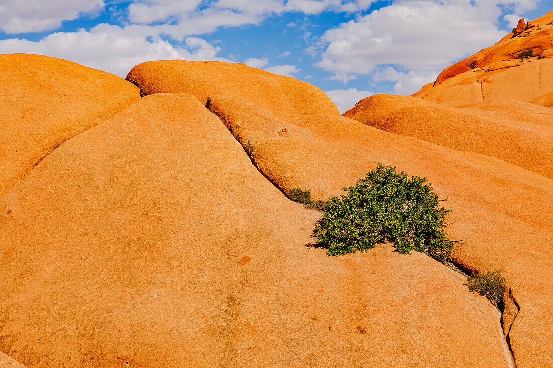 Markante orange Granitfelsen in der  Felsplateau Region der Spitzkuppe Gruppe in Namibia, Afrika