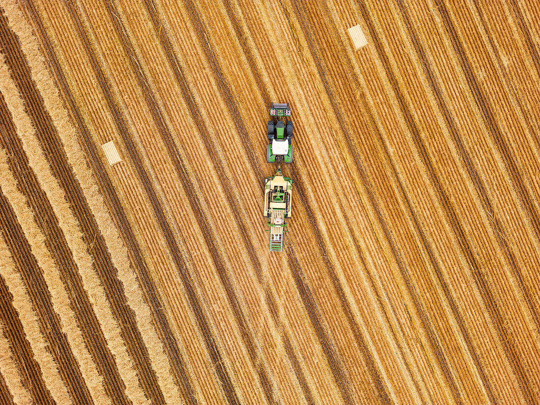 A tractor with a trailer drives diagonally across a stubble field with hay bales, Hesse, Germany