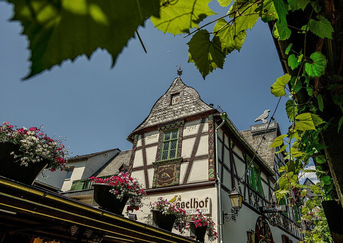 Weinschänke "Drosselhof" in der Drosselgasse, Rüdesheim, Welterbe Oberes Mittelrheintal, Hessen, Deutschland