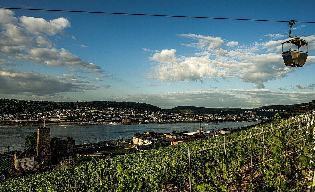 Cable car above the vineyard, view over the Boosenburg and the Asbach winery on Bingen on the other bank of the Rhine, Rüdesheim, Upper Middle Rhine Valley, Hesse and Rhineland-Palatinate, Germany