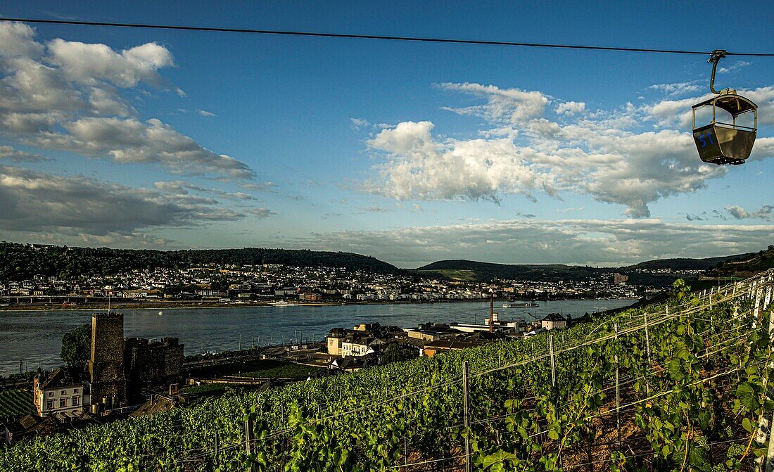 Seilbahn über dem Weinberg, Blick über die Boosenburg und die Weinkellerei Asbach auf Bingen am anderen Rheinufer, Rüdesheim, Oberes Mittelrheintal, Hessen und Rheinland-Pfalz, Deutschland