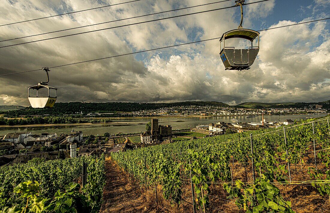 Kabinen der Seilbahn Rüdesheim im Morgenlicht, Blick über einen Weinberg zur Boosenburg und zur Weinbrennerei Asbach, im Hintergrund das Rheintal bei Bingen, Oberes Mittelrheintal, Hessen und Rheinland-Pfalz, Deutschland