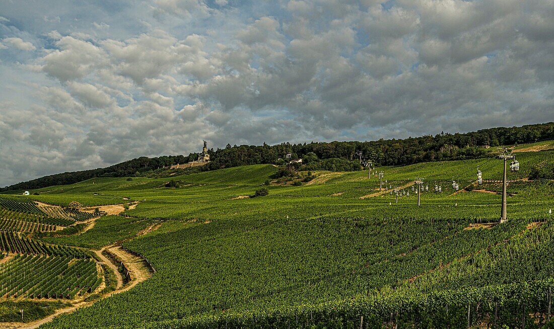 Seilbahn zum Niederwaldenkmal, Weinberge mit Wirtschaftswegen, Rüdesheim, Oberes Mittelrheintal, Hessen, Deutschland