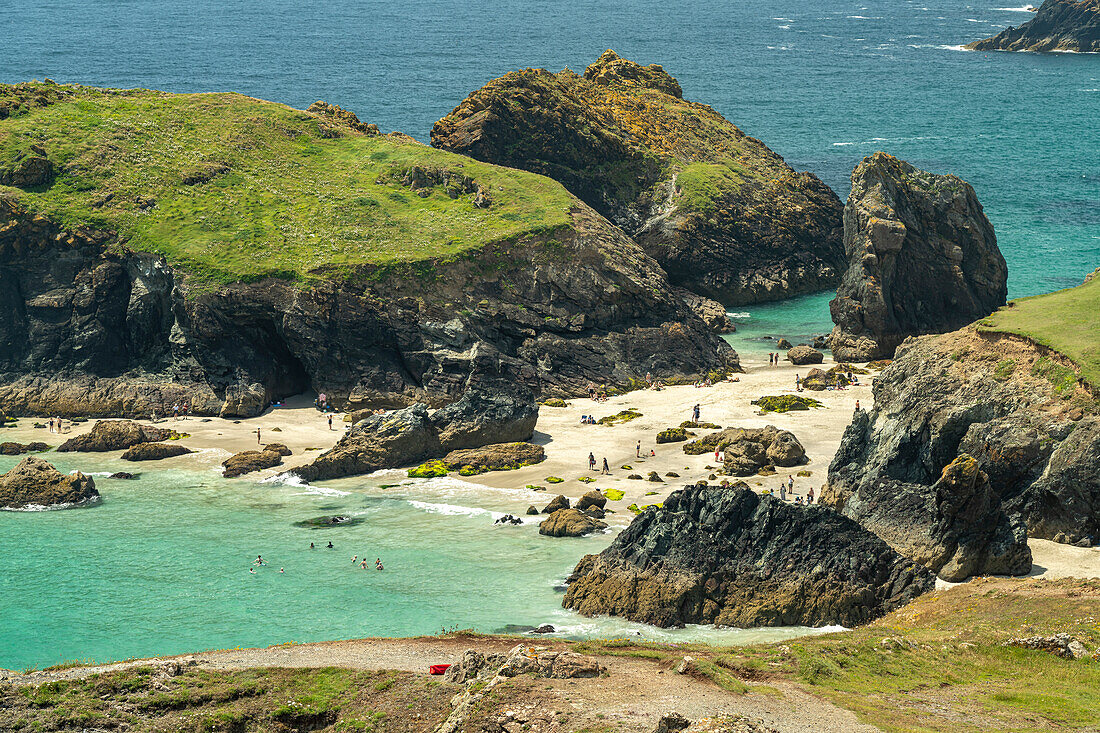 Die Küste bei der Bucht Kynance Cove, Cornwall, England, Großbritannien, Europa 