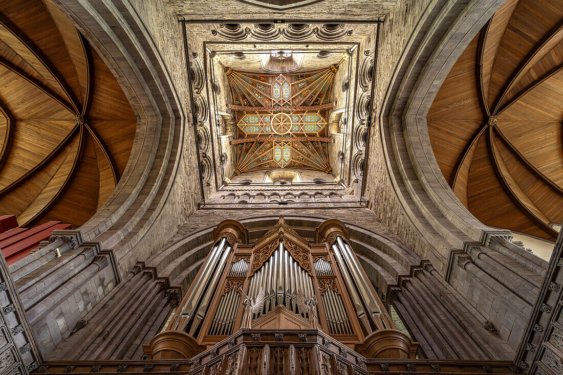 Organ and church ceiling of St Davids Cathedral, Wales, United Kingdom, Europe