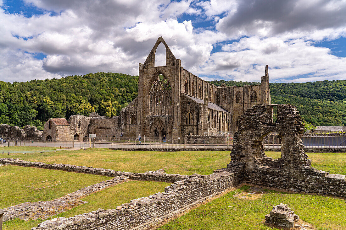 The ruins of Tintern Abbey in the Wye Valley, Tintern, Monmouth, Wales, United Kingdom, Europe