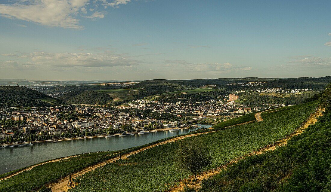 View over the vineyards under the Niederwald Monument to Bingen am Rhein and the foothills of the Hunsrück, Upper Middle Rhine Valley World Heritage Site, Hesse and Rhineland-Palatinate, Germany