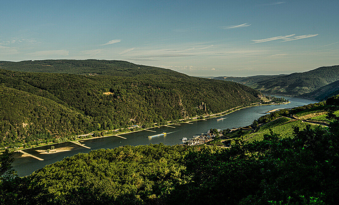View over vineyards to the Rhine, Bingen and Ruedesheim, Upper Middle Rhine Valley, Hesse and Rhineland-Palatinate, Germany