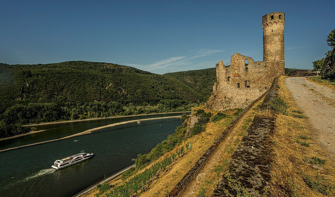 Ausflugsschiff auf dem Rhein unter der Burgruine Ehrenfels, Rüdesheim, Oberes Mittelrheintal, Hessen, Deutschland