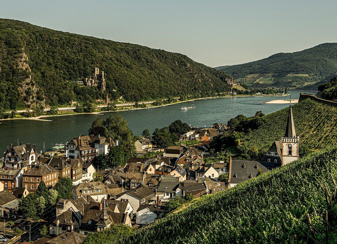 Blick über den Ortskern von Assmannshausen und die Weinberge in das Rheintal, im Hintergrund die Burgen Rheinstein und Reichenstein, Oberes Mittelrheintal, Hessen/Rheinland-Pfalz, Deutschland