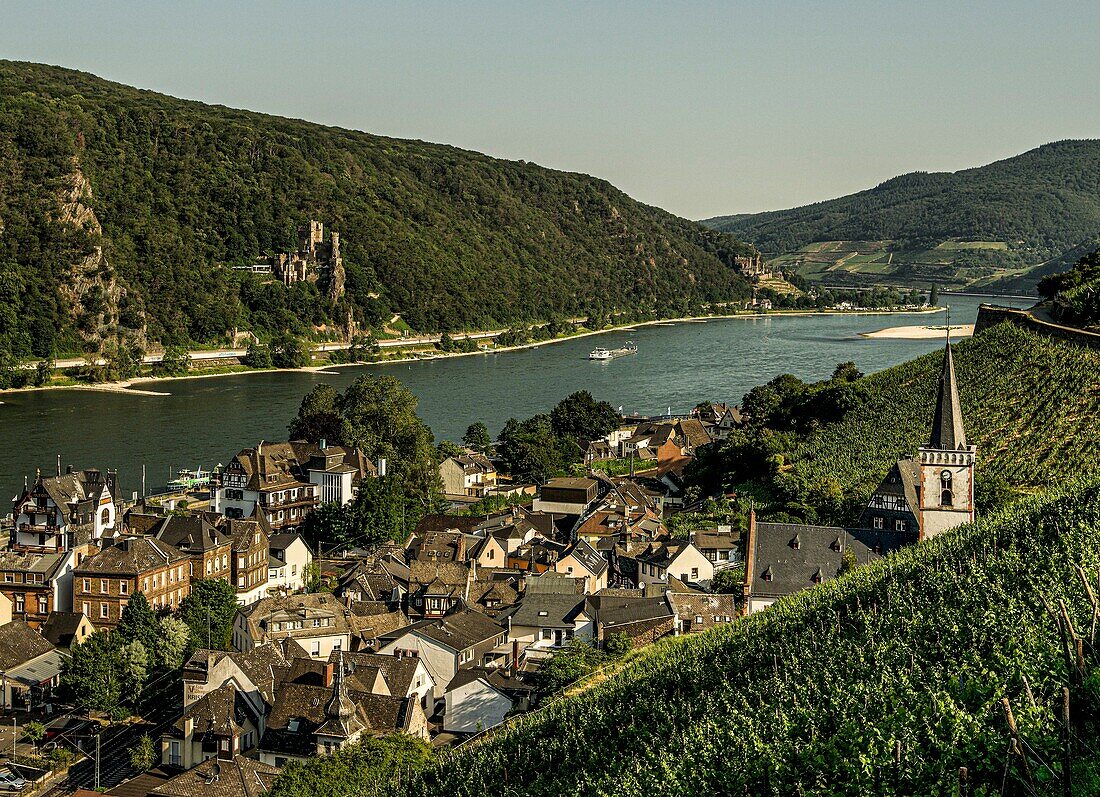 View over the center of Assmannshausen and the vineyards in the Rhine Valley, in the background the castles Rheinstein and Reichenstein, Upper Middle Rhine Valley, Hesse/Rhineland-Palatinate, Germany