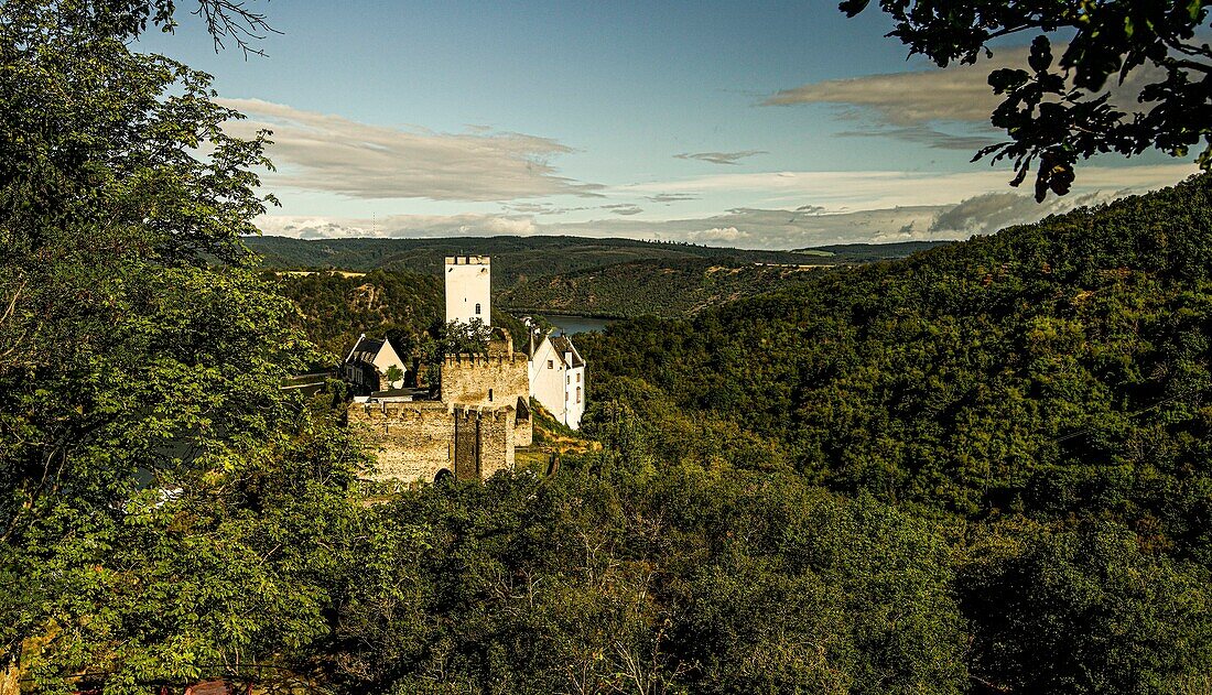 Burg Sterrenberg und das Rheintal bei Kamp-Bornhofen im Morgenlicht, Oberes Mittelrheintal, Rheinland-Pfalz, Deutschland