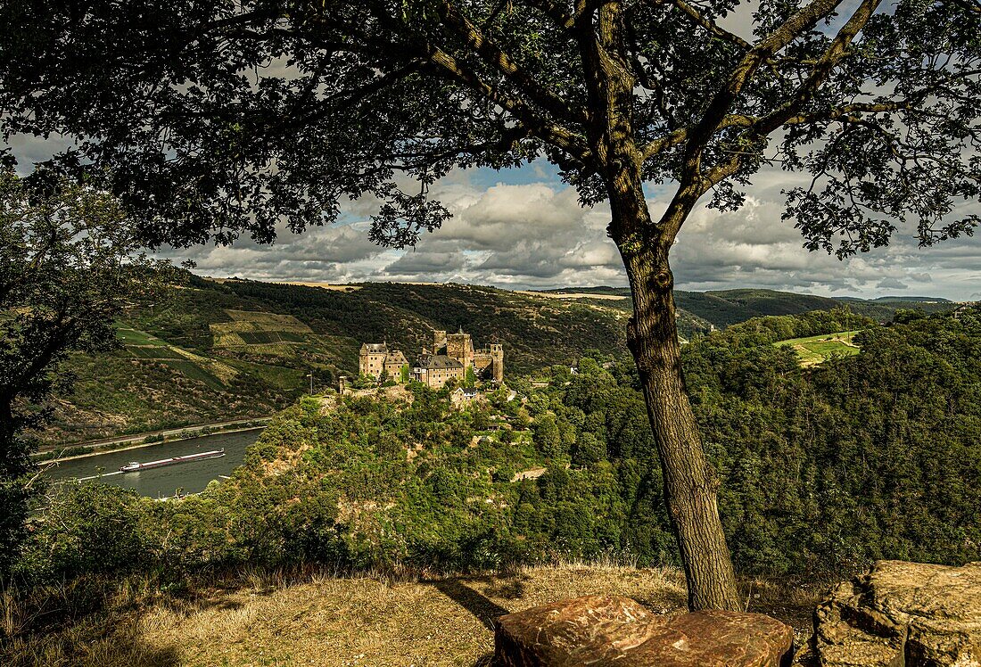 Die Schönburg und das Mittelrheintal im Abendlicht, gesehen vom Aussichtspunkt Landsknechtsblick, Oberwesel, Oberes Mittelrheintal, Rheinland-Pfalz, Deutschland