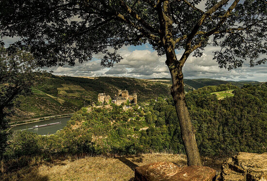 The Schönburg and the Middle Rhine Valley in the evening light, seen from the Landsknechtsblick viewpoint, Oberwesel, Upper Middle Rhine Valley, Rhineland-Palatinate, Germany
