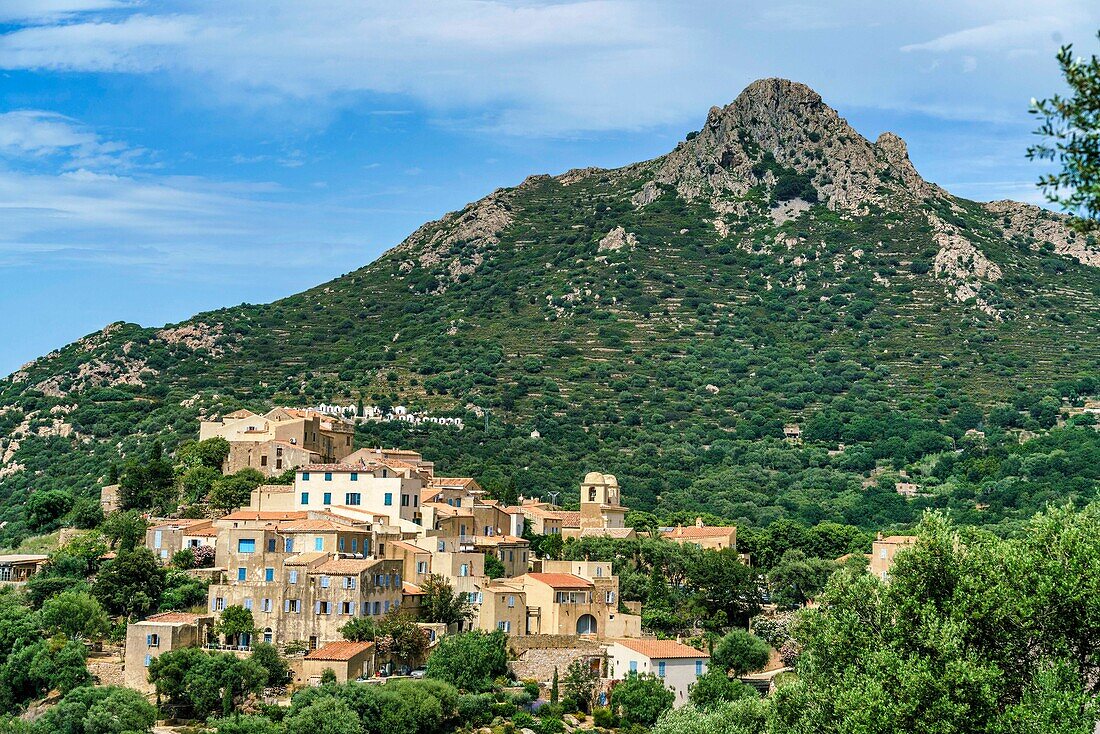 Pigna, artists'39; village, mountain village, Corsica, France, Europe