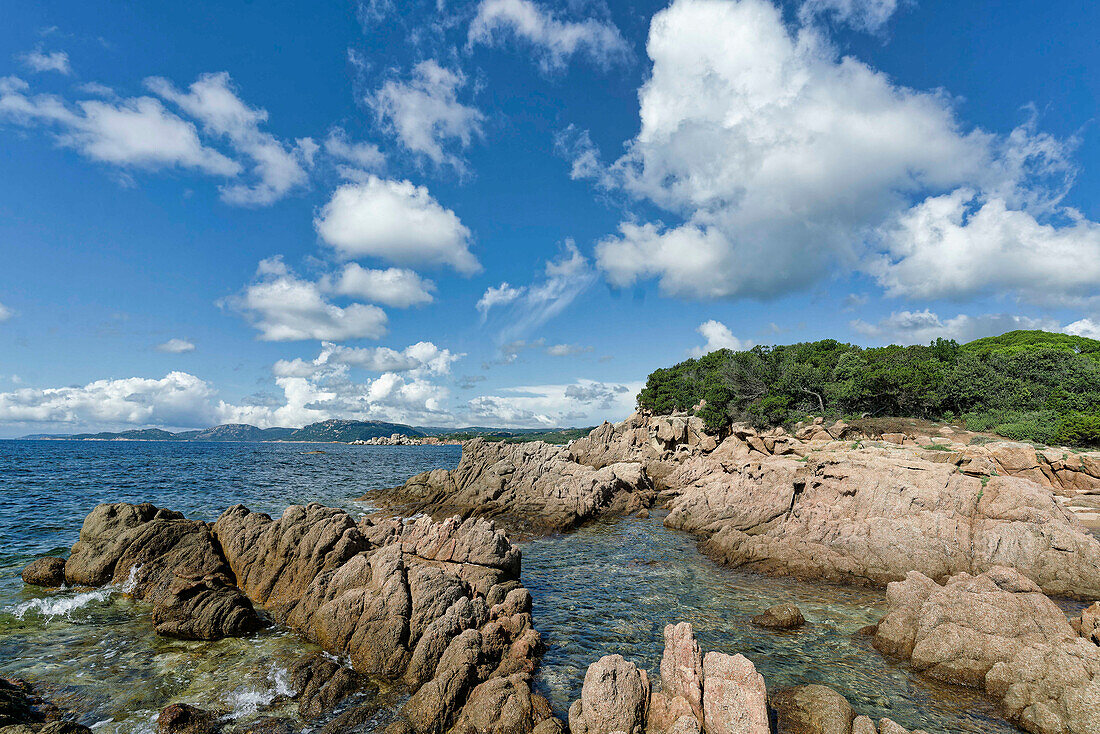 Plage de Palombaggia, beach, beach, Porto Vecchio, Corse-du-Sud, Corsica, France, Europe