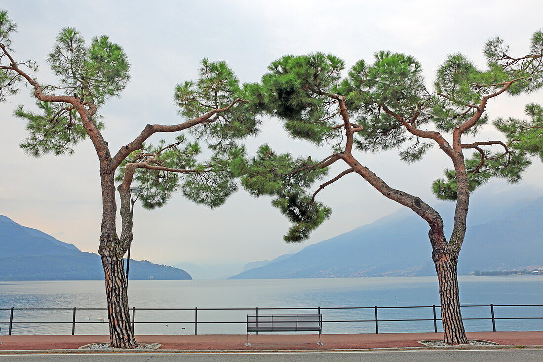 Seafront promenade, Domaso, Lake Como, Lombardy, Italy
