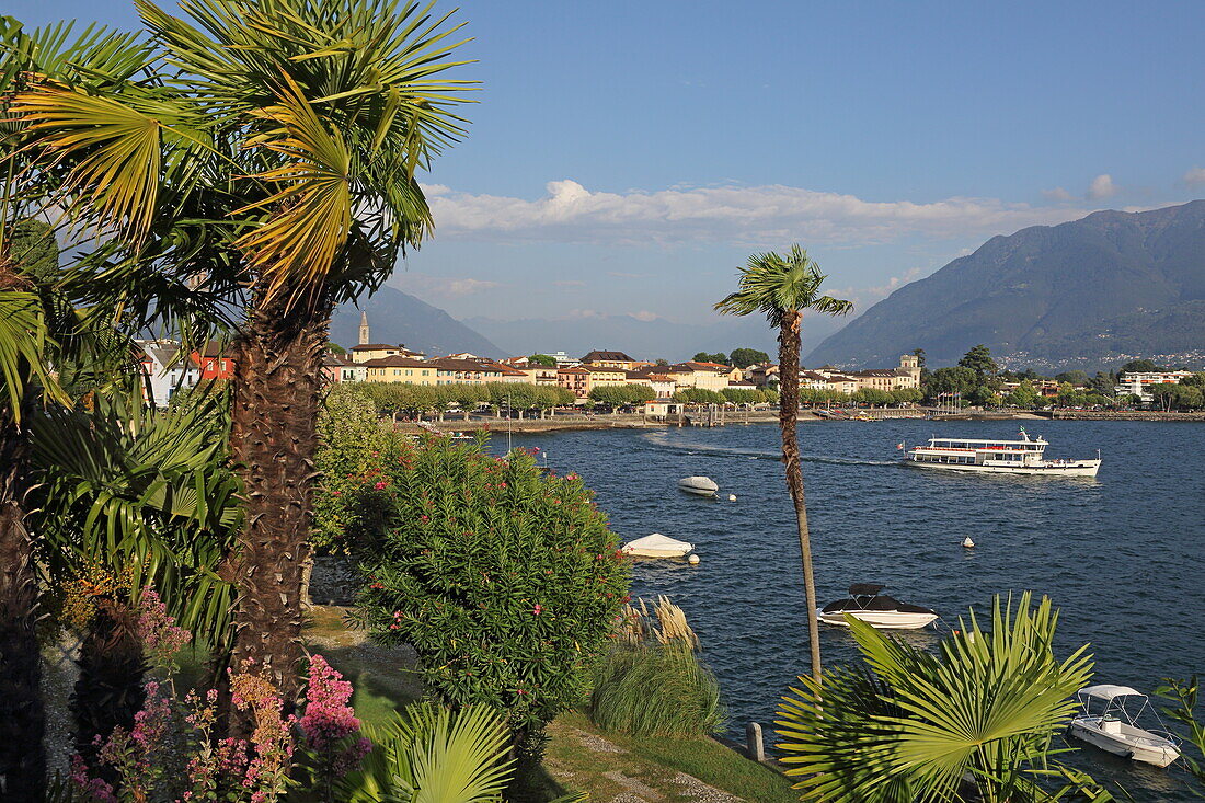 Palm garden on the lake shore and view of Ascona, Lake Maggiore, Ticino, Switzerland