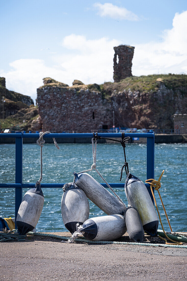 Blick auf die Burgruine von Dunbar Castle, im Vordergrund der Hafen mit Bojen, Dunbar, East Lothian, Schottland, Vereinigtes Königreich