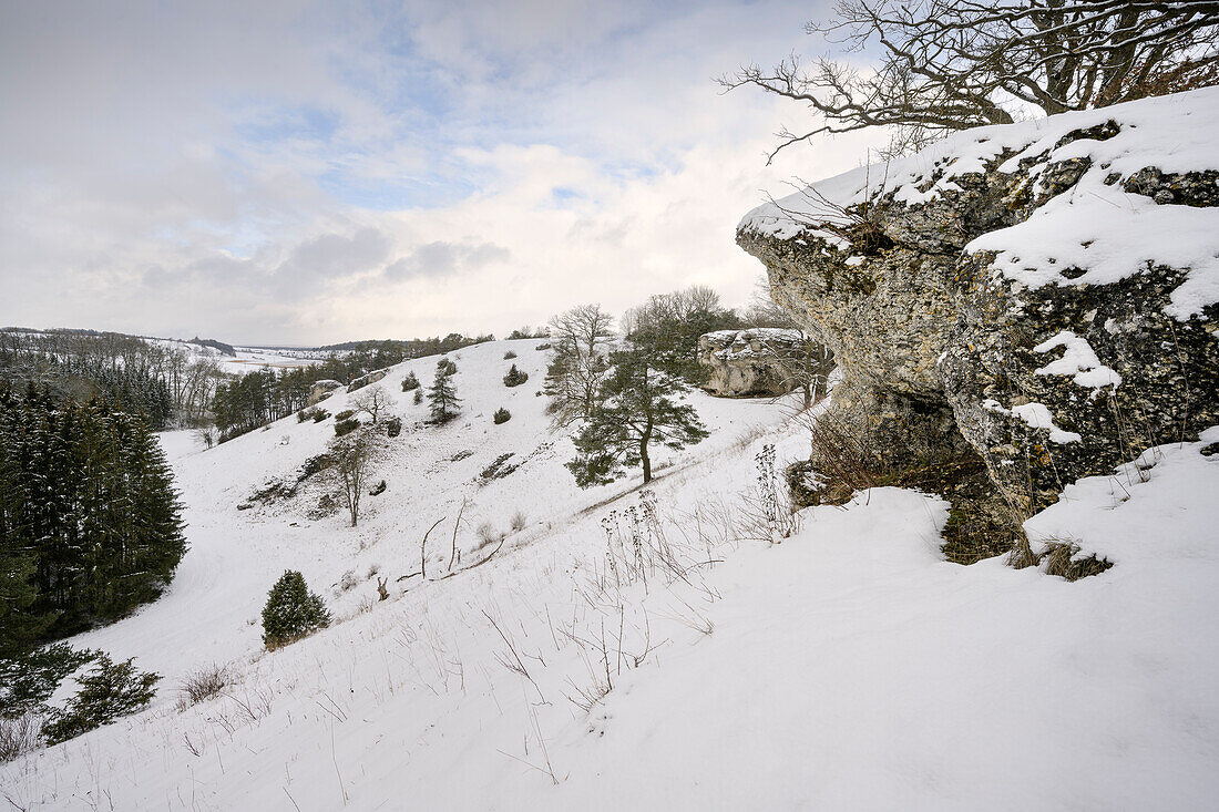 Laushalde near Langenau in winter, Swabian Alb, Baden-Wuerttemberg, Germany, Europe