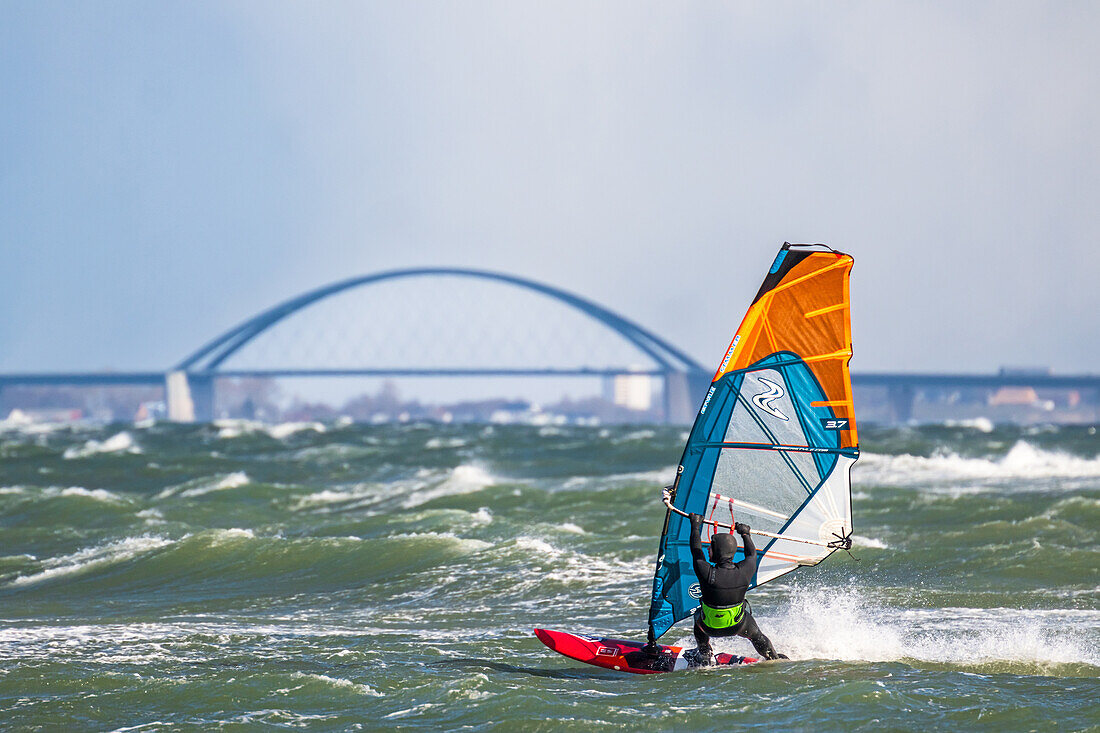 Windsurfers in Heiligenhafen with the Fehmarn Sund Bridge in the background, Heiligenhafen, Baltic Sea, Schleswig-Holstein, Germany