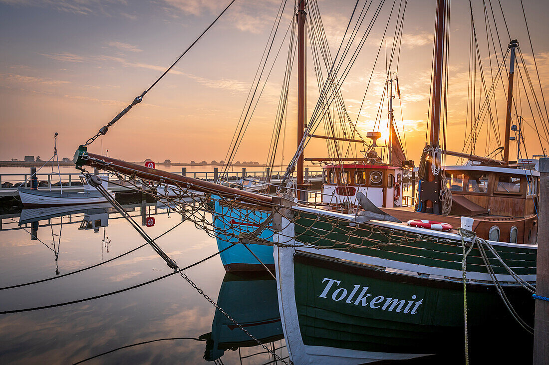 Cutter in the museum harbor of Heiligenhafen in the morning light, harbour, Baltic Sea, Ostholstein, Schleswig-Holstein, Germany