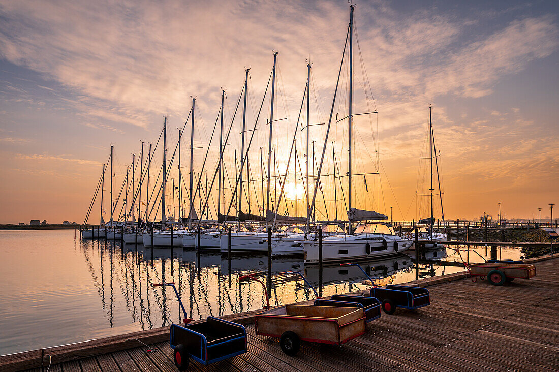 The marina with sailing boats in Heiligenhafen in the morning light, Baltic Sea, Ostholstein, Schleswig-Holstein, Germany