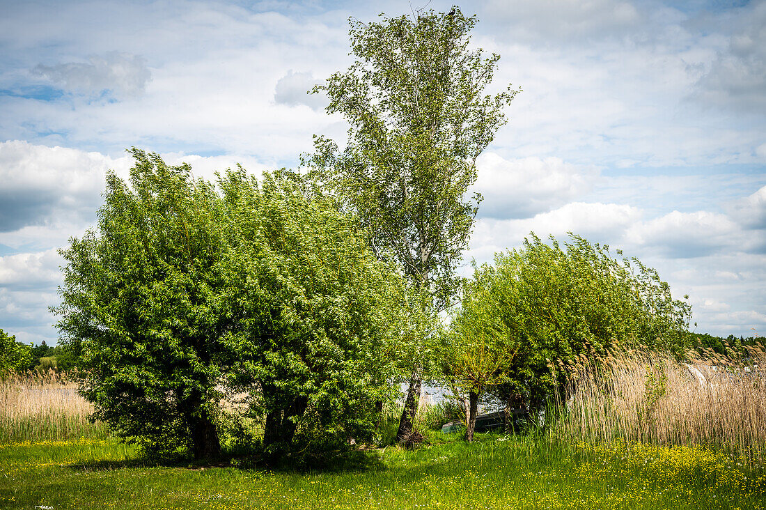 Werder an der Havel, Brandenburg, Germany