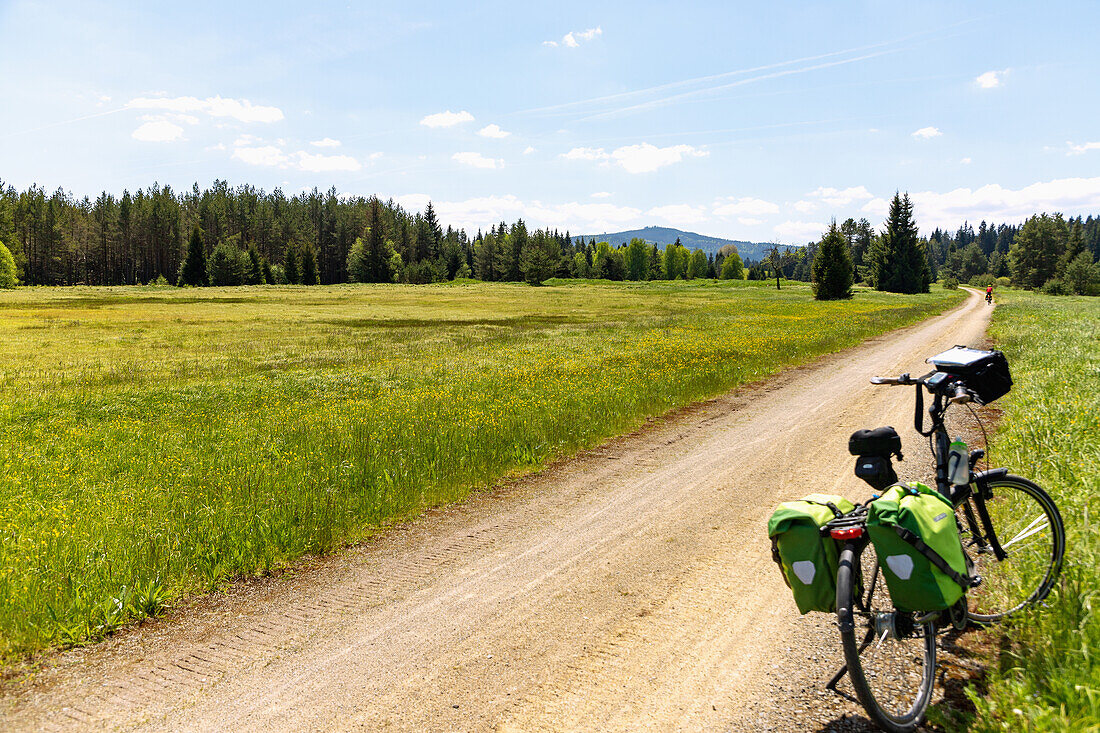 Cycle path near Prášily in the Šumava National Park in the Bohemian Forest in the Czech Republic