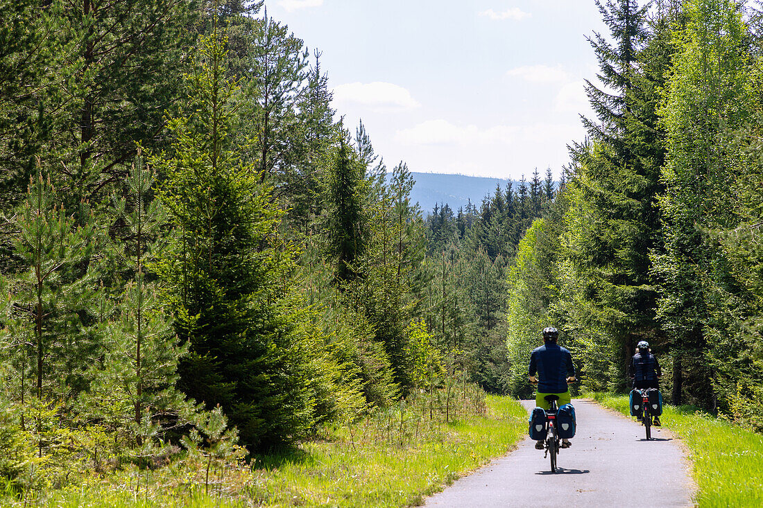 Cycle path near Prášily in the Šumava National Park in the Bohemian Forest in the Czech Republic