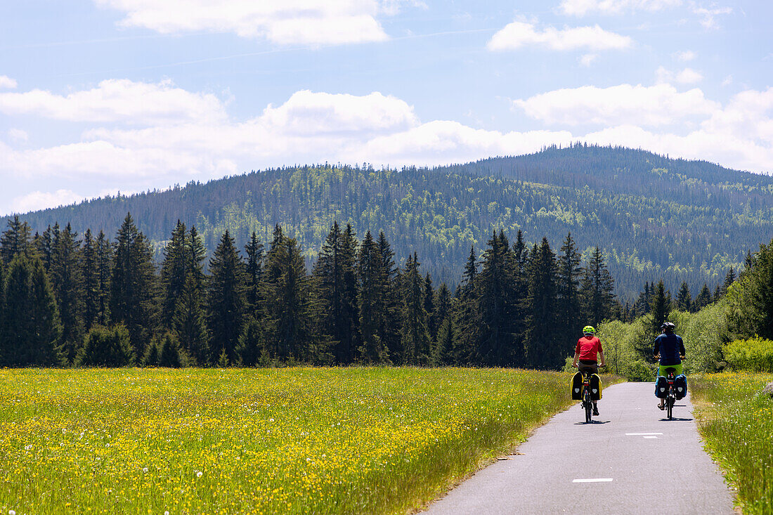 Cycle path near Prášily in the Šumava National Park in the Bohemian Forest in the Czech Republic